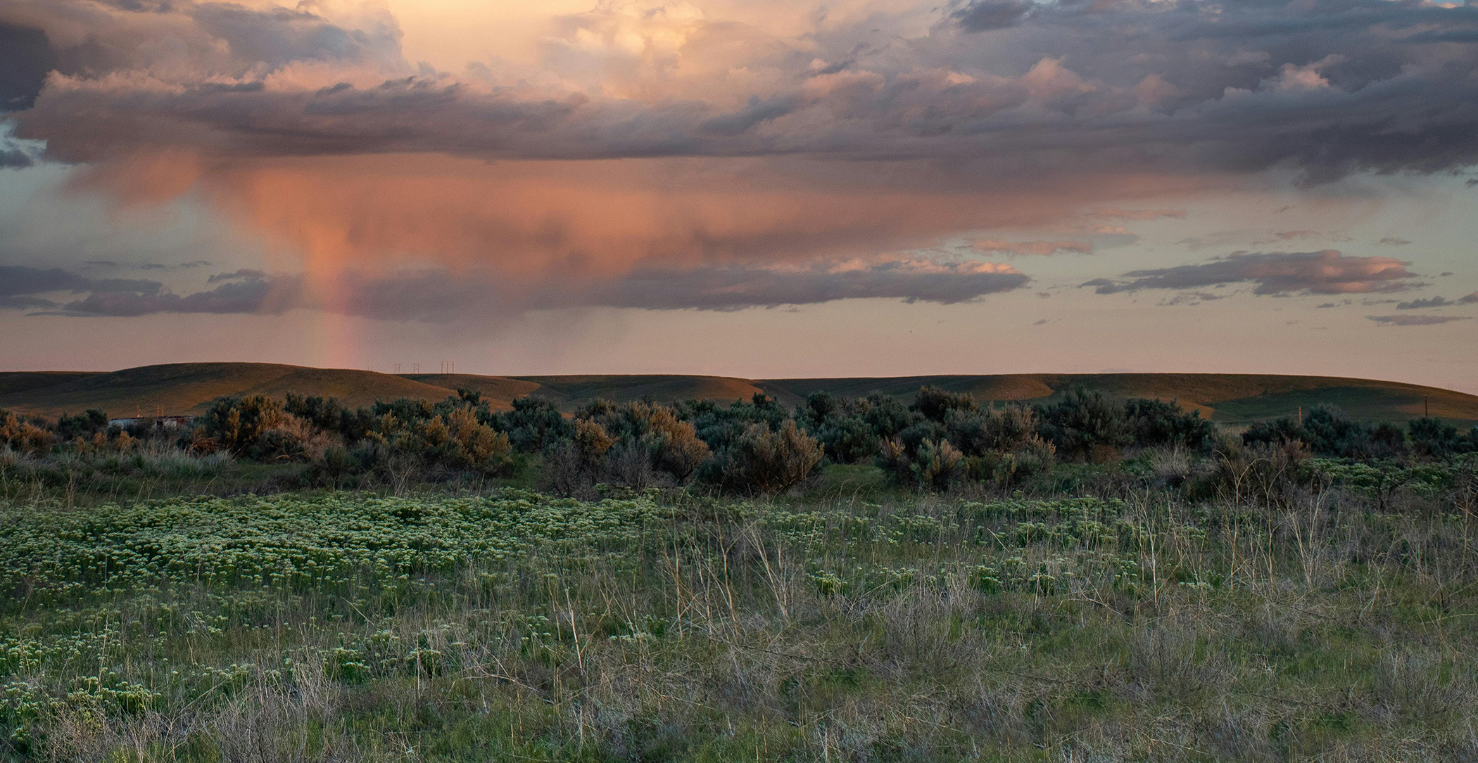 Prairie scene with rain storm in the distance
